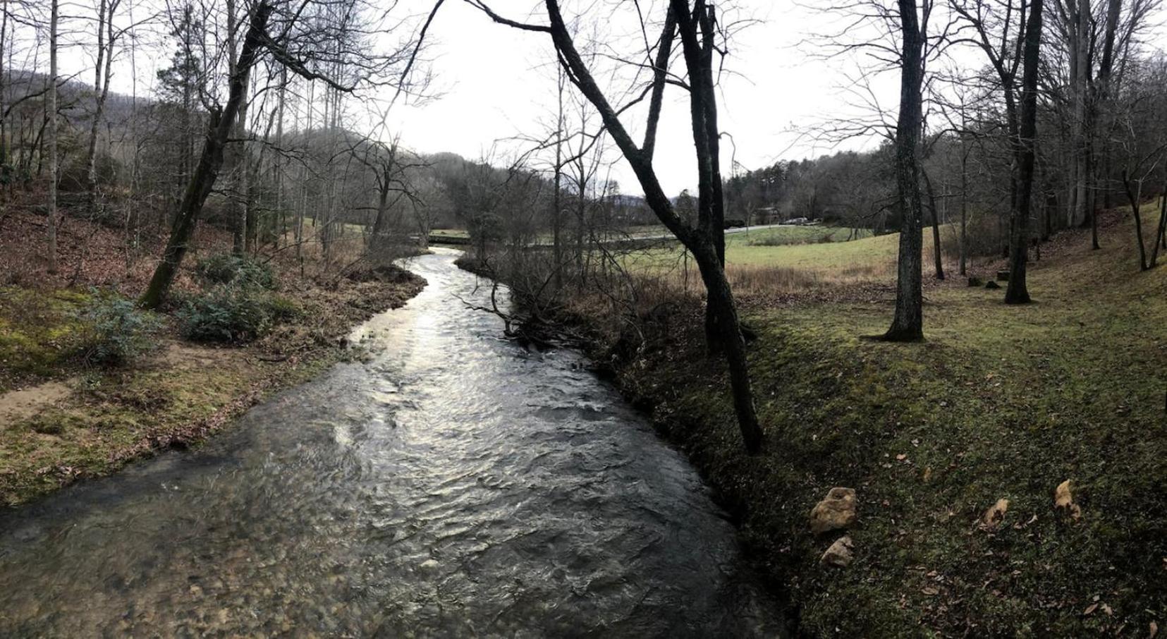 Serene Mountain And Sunset Views 3Bd Cabin فرانكلين المظهر الخارجي الصورة